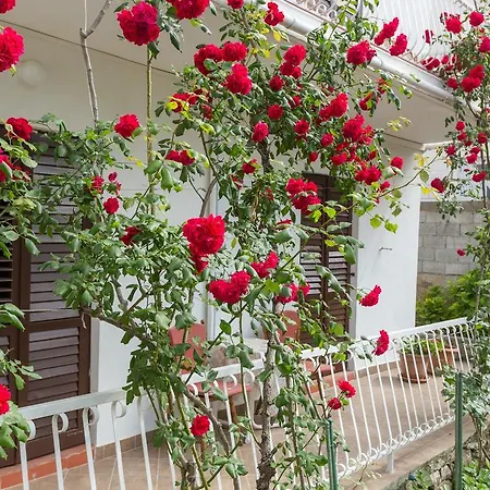 Anka Apartman Cavtat