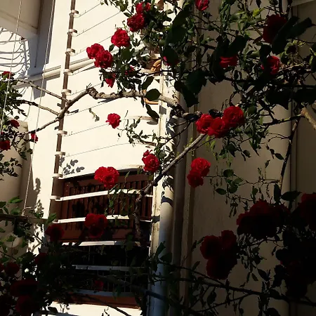 Appartement Anka Cavtat