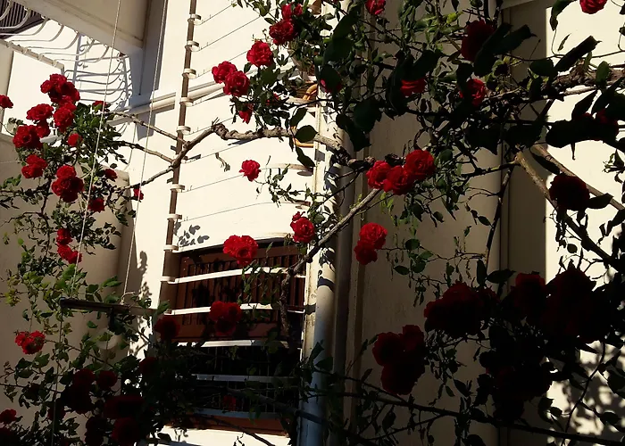 Apartament Anka Cavtat