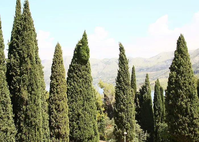 Apartament Anka Cavtat