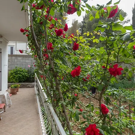 Apartamento Anka *